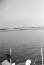 terminal island.jpg (362877 bytes)
